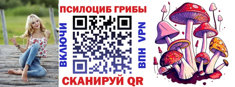 Купить Сорск Псилоцибиновые грибы GOLDEN TEACHER